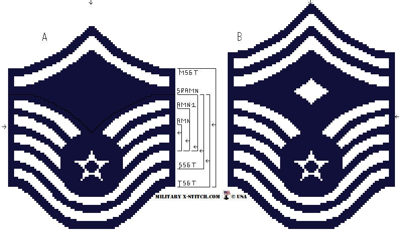 Airman thru 1st Sgt Sleeve Insignia PDF