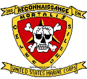 Recon, 3rd Battalion Insignia