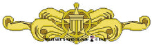 Coast Guard Cutterman's Insignia