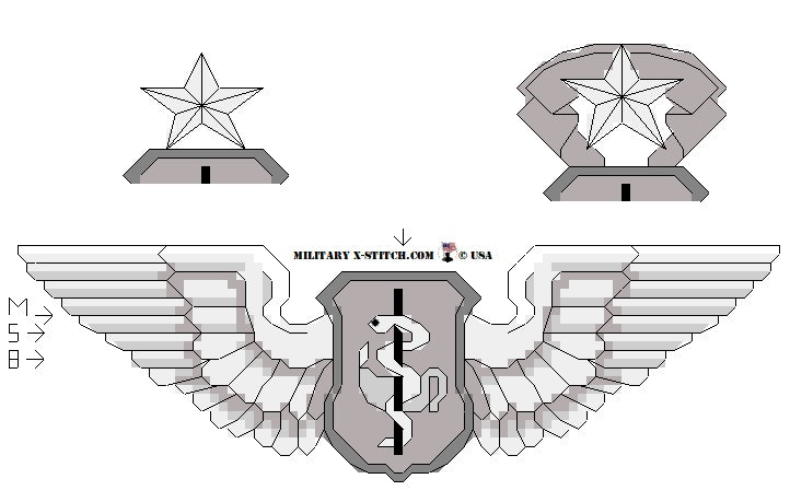 Nurse (Flight) Insignia (USAF)