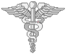 Navy Hospital Corpsman Collar Insignia