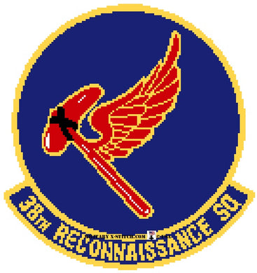 Reconnaissance, 38th Squadron Insignia