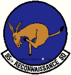 Reconnaissance, 95th Squadron Insignia
