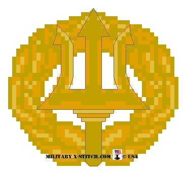 Navy Command Ashore (Collar Insignia)