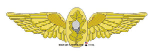 Flight Surgeon Insignia, Navy
