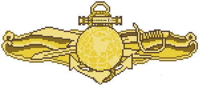 IDW Specialist Officer Insignia