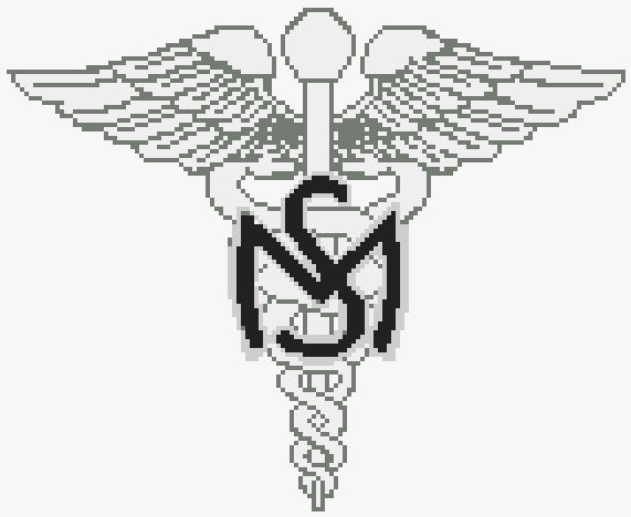 US Army Medical Services Badge (Collar Insignia) Kit