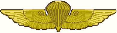 Parachutist Wings Insignia