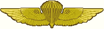 Parachutist Wings Insignia