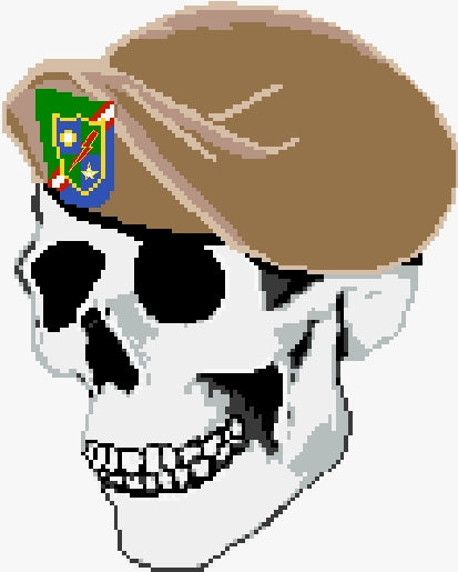 Ranger, 75th Beret on Skull