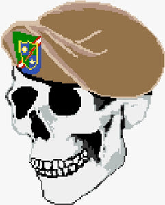 Ranger, 75th Beret on Skull PDF