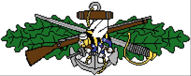 SeaBees Combat Warfare Insignia