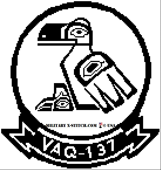 VAQ-137 Attack Squadron Insignia