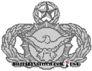 Security Police Badge (USAF)