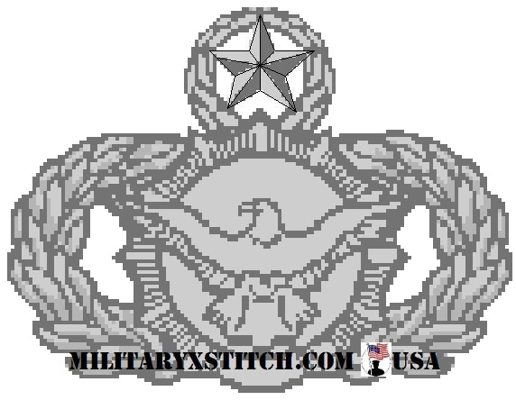 Security Police Badge (USAF)