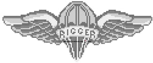 Parachute Rigger Insignia PDF