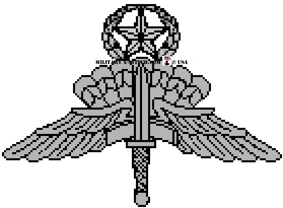 Military Halo Wings Insignia