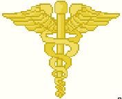 Navy Hospital Corpsman Collar Insignia