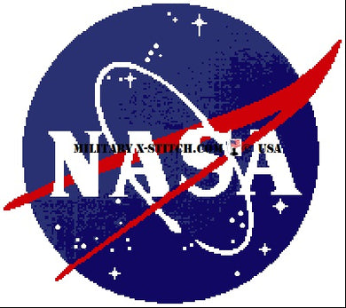 NASA Insignia