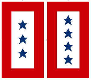 Service Star Banner