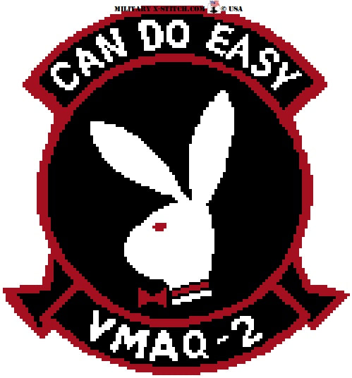 VMAQ 2  Can Do Easy Sleeve Insignia
